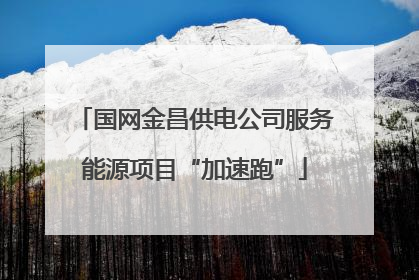 国网金昌供电公司服务能源项目“加速跑”