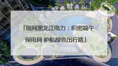 国网黑龙江电力：织密端午保电网 护航绿色出行路