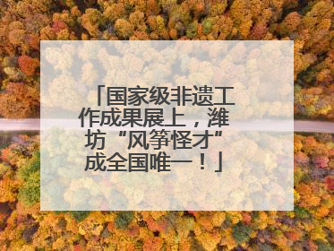 国家级非遗工作成果展上，潍坊“风筝怪才”成全国唯一！