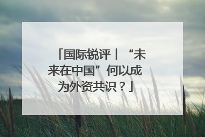 国际锐评丨“未来在中国”何以成为外资共识？