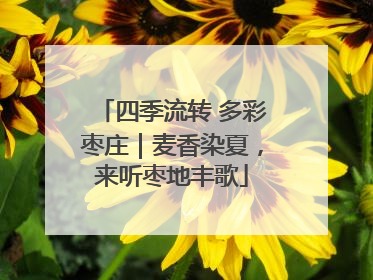 四季流转 多彩枣庄｜麦香染夏，来听枣地丰歌