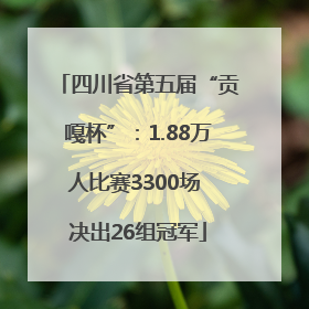 四川省第五届“贡嘎杯”：1.88万人比赛3300场 决出26组冠军