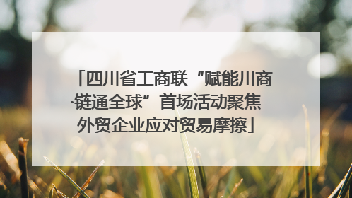 四川省工商联“赋能川商·链通全球”首场活动聚焦外贸企业应对贸易摩擦