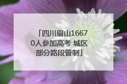 四川眉山16670人参加高考 城区部分路段管制