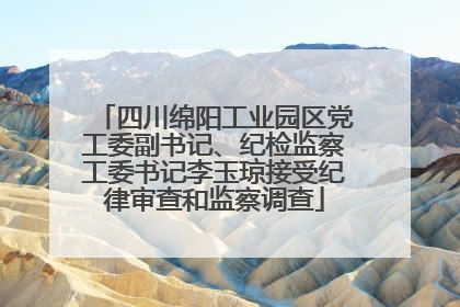 四川绵阳工业园区党工委副书记、纪检监察工委书记李玉琼接受纪律审查和监察调查