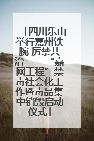 四川乐山举行嘉州铁腕 厉禁共治——“嘉网工程”禁毒社会化工作暨毒品集中销毁启动仪式