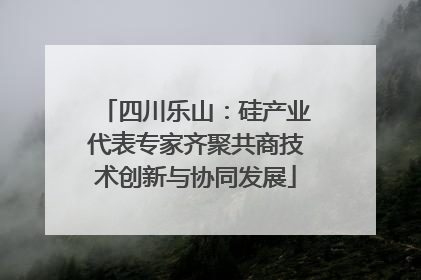 四川乐山：硅产业代表专家齐聚共商技术创新与协同发展