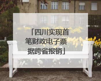 四川实现首笔财政电子票据跨省报销