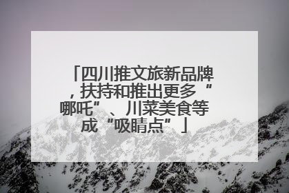 四川推文旅新品牌，扶持和推出更多“哪吒”、川菜美食等成“吸睛点”