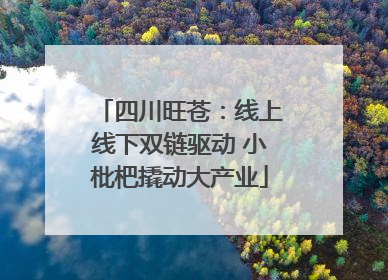 四川旺苍：线上线下双链驱动 小枇杷撬动大产业