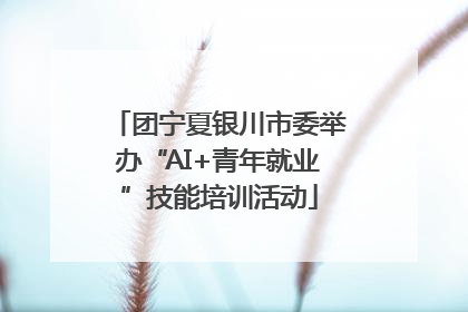 团宁夏银川市委举办“AI+青年就业”技能培训活动