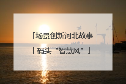 场景创新河北故事丨码头“智慧风”