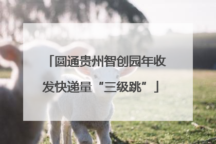 圆通贵州智创园年收发快递量“三级跳”