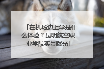 在机场边上学是什么体验？昆明航空职业学院实景曝光