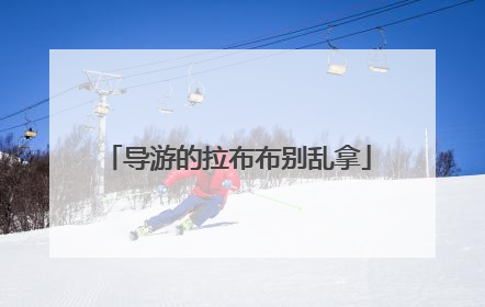 导游的拉布布别乱拿
