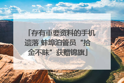 存有重要资料的手机遗落 蚌埠泊管员“拾金不昧”获赠锦旗