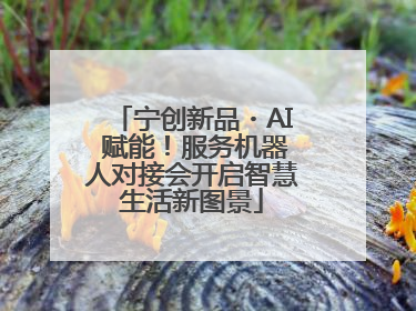 宁创新品・AI 赋能！服务机器人对接会开启智慧生活新图景