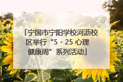 宁国市宁阳学校河沥校区举行“5・25 心理健康周”系列活动