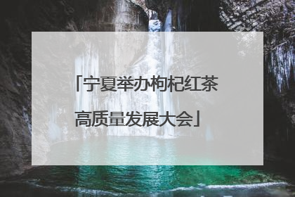 宁夏举办枸杞红茶高质量发展大会