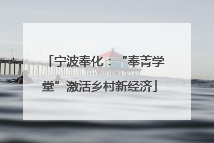 宁波奉化：“奉菁学堂”激活乡村新经济