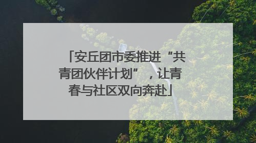 安丘团市委推进“共青团伙伴计划”，让青春与社区双向奔赴