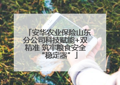 安华农业保险山东分公司科技赋能+双精准 筑牢粮食安全“稳定器”