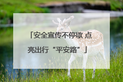 安全宣传不停歇 点亮出行“平安路”