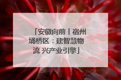 安徽向前丨宿州埇桥区：建智慧物流 兴产业引擎