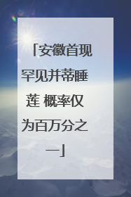 安徽首现罕见并蒂睡莲 概率仅为百万分之一