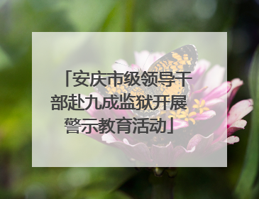 安庆市级领导干部赴九成监狱开展警示教育活动