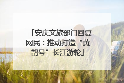 安庆文旅部门回复网民：推动打造“黄鹄号”长江游轮