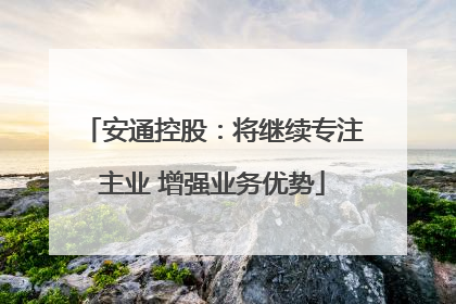 安通控股：将继续专注主业 增强业务优势