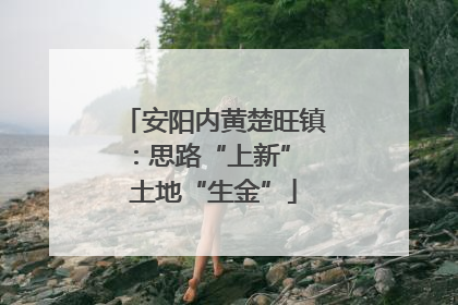 安阳内黄楚旺镇：思路“上新” 土地“生金”