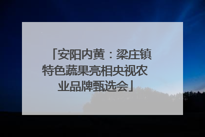 安阳内黄：梁庄镇特色蔬果亮相央视农业品牌甄选会
