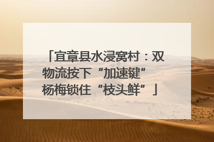 宜章县水浸窝村：双物流按下“加速键” 杨梅锁住“枝头鲜”
