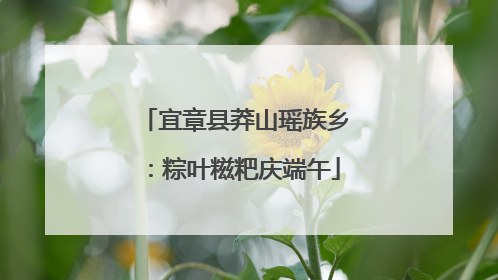 宜章县莽山瑶族乡：粽叶糍粑庆端午