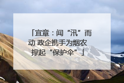 宜章：闻“汛”而动 政企携手为烟农撑起“保护伞”