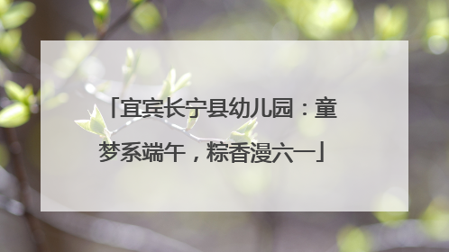 宜宾长宁县幼儿园：童梦系端午，粽香漫六一