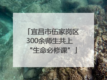 宜昌市伍家岗区300余师生共上“生命必修课”