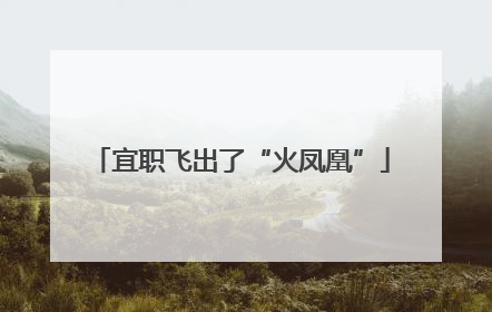 宜职飞出了“火凤凰”