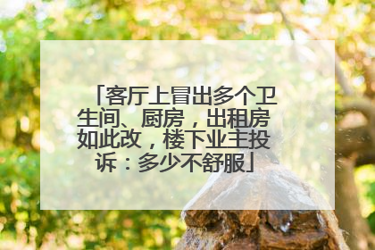 客厅上冒出多个卫生间、厨房，出租房如此改，楼下业主投诉：多少不舒服