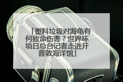 塑料垃圾对海龟有何致命伤害？世界环境日总台记者走进开普敦海洋馆