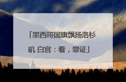 墨西哥国旗飘扬洛杉矶 白宫：看，罪证