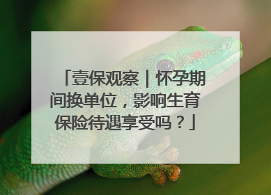 壹保观察｜怀孕期间换单位，影响生育保险待遇享受吗？