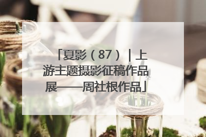 夏影（87）｜上游主题摄影征稿作品展——周社根作品