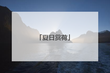 夏日赏荷
