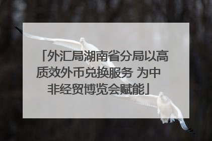 外汇局湖南省分局以高质效外币兑换服务 为中非经贸博览会赋能