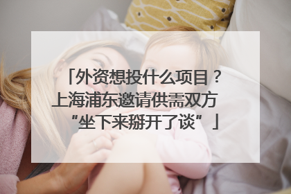 外资想投什么项目？上海浦东邀请供需双方“坐下来掰开了谈”