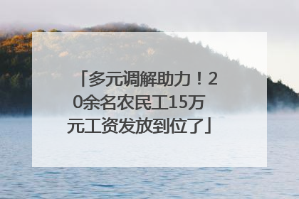 多元调解助力！20余名农民工15万元工资发放到位了