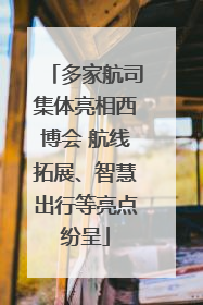 多家航司集体亮相西博会 航线拓展、智慧出行等亮点纷呈